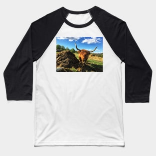 Scottish Highland Cattle Cow 2394 Baseball T-Shirt